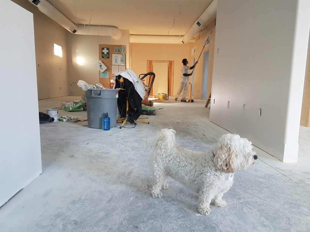 Expert Tips for a Successful Home Improvement Project